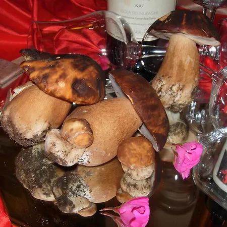 Il Melograno Tempio Pausania